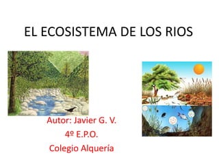 EL ECOSISTEMA DE LOS RIOS




   Autor: Javier G. V.
       4º E.P.O.
   Colegio Alquería
 