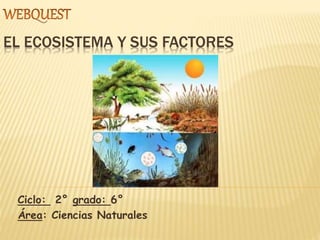 EL ECOSISTEMA Y SUS FACTORES 
Ciclo: 2° grado: 6° 
Área: Ciencias Naturales 
 