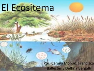 El Ecositema
Por: Camila Monod, Francisco
Ballester y Delfina Bergalli
 