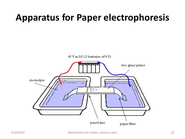In gel electrophoresis, what is the agarose used for? picture