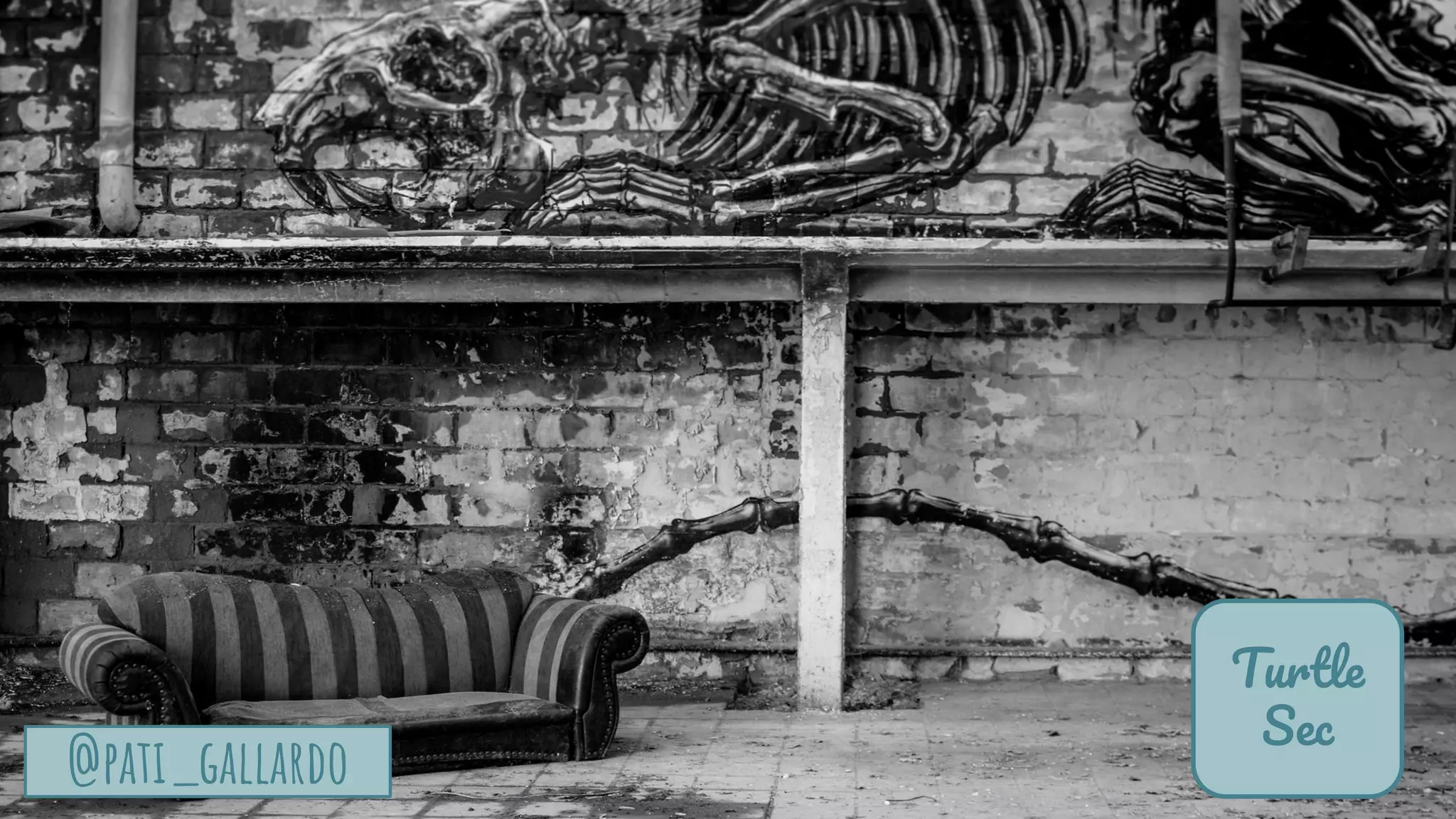 TurtleSec
@pati_gallardo
Turtle
Sec
@pati_gallardo
 