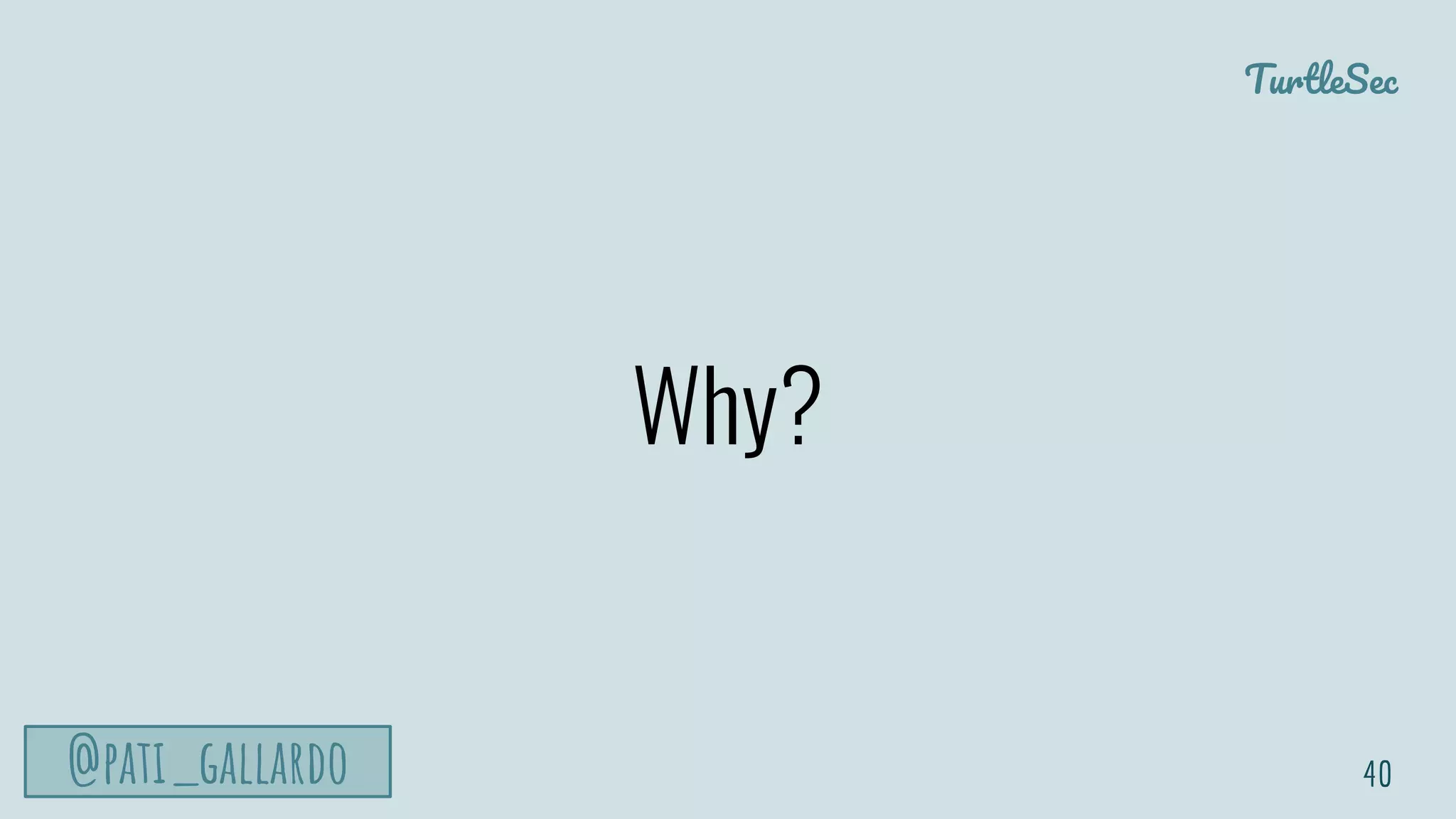 TurtleSec
@pati_gallardo
Why?
40
 