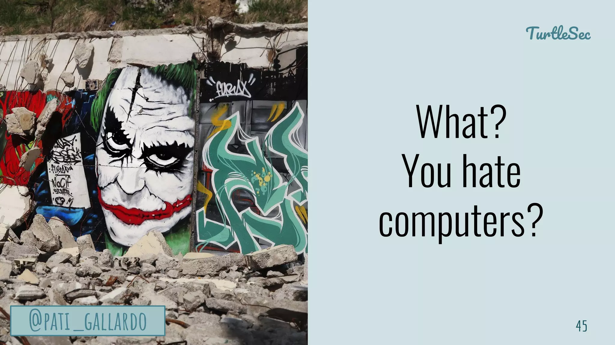 TurtleSec
@pati_gallardo@pati_gallardo
What?
You hate
computers?
45@pati_gallardo
 