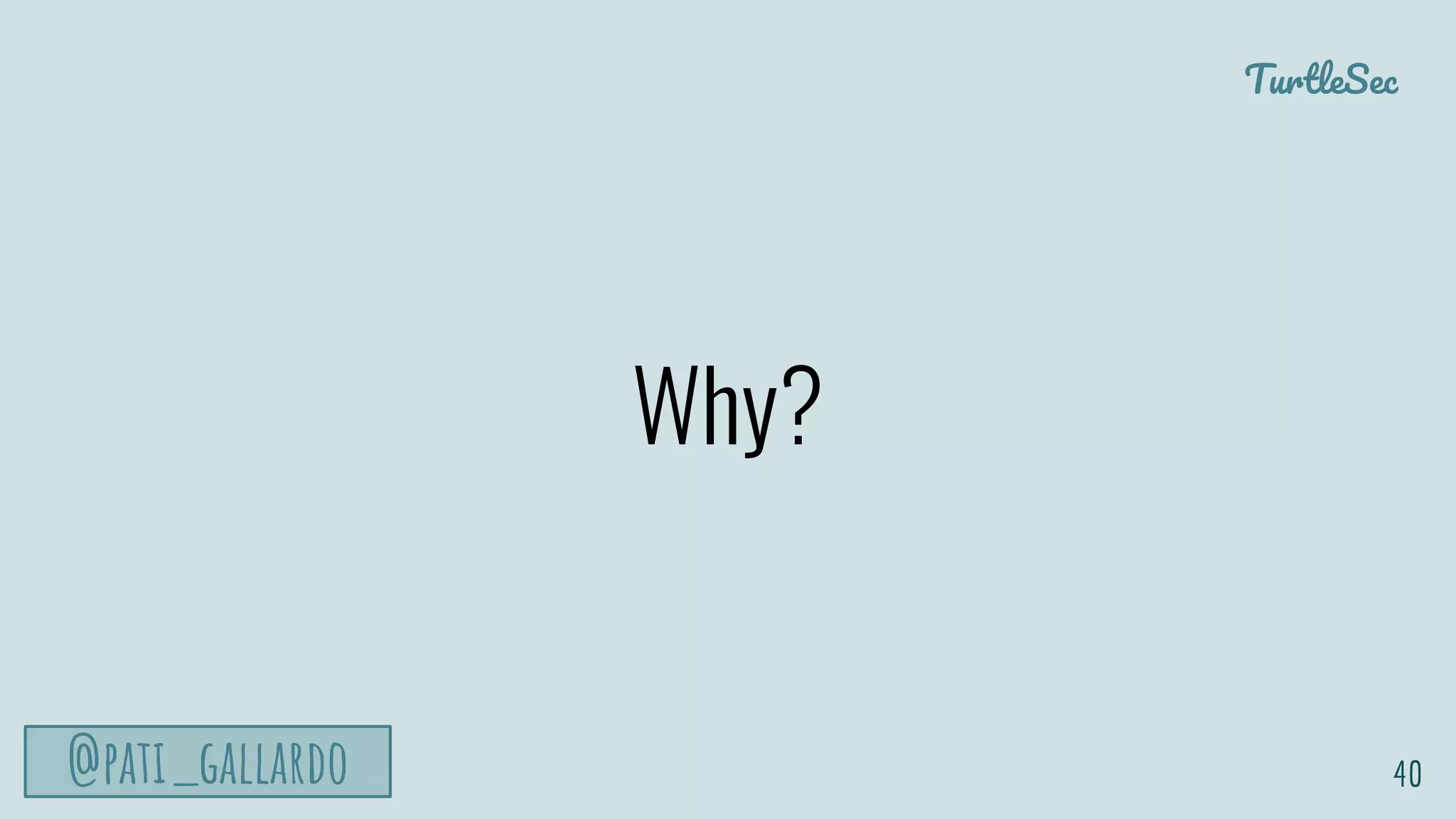 TurtleSec
@pati_gallardo
Why?
40
 