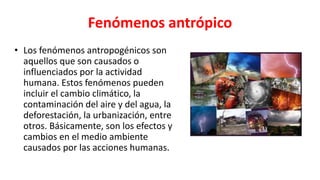 Fenómenos y orígenes antropológicos ( Electiva) | PPTX