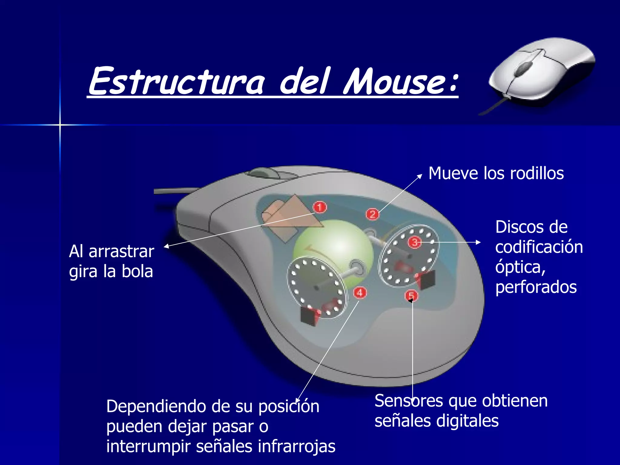 Estructura del Mouse: Al arrastrar gira la bola Mueve los rodillos Discos de codificación óptica, perforados Sensores que obtienen señales digitales Dependiendo de su posición pueden dejar pasar o interrumpir señales infrarrojas