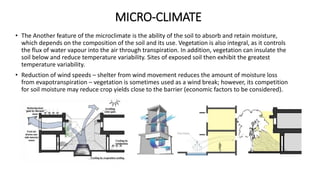 MICRO-CLIMATE
• The Another feature of the microclimate is the ability of the soil to absorb and retain moisture,
which depends on the composition of the soil and its use. Vegetation is also integral, as it controls
the flux of water vapour into the air through transpiration. In addition, vegetation can insulate the
soil below and reduce temperature variability. Sites of exposed soil then exhibit the greatest
temperature variability.
• Reduction of wind speeds – shelter from wind movement reduces the amount of moisture loss
from evapotranspiration – vegetation is sometimes used as a wind break; however, its competition
for soil moisture may reduce crop yields close to the barrier (economic factors to be considered).
 