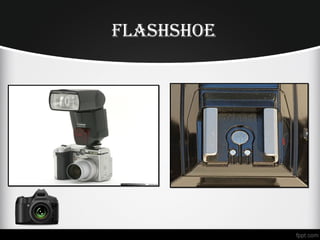 FLASHSHoe
 