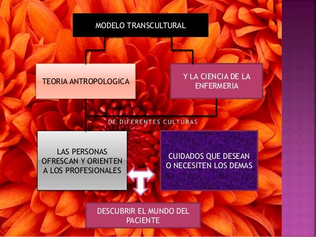 the basic concepts of transcultural nursing The transcultural nursing theory or culture care theory by madeleine leininger involves knowing and understanding different cultures with respect to nursing and health-illness caring practices, beliefs and values with the goal to provide meaningful and efficacious nursing care services to people according to their cultural values and. the basic concepts of transcultural nursing The transcultural nursing theory or culture care theory by madeleine leininger involves knowing and understanding different cultures with respect to nursing and health-illness caring practices, beliefs and values with the goal to provide meaningful and efficacious nursing care services to people according to their cultural values and.