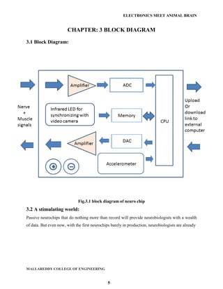 ELECTRONICS MEET ANIMAL BRAIN


                       CHAPTER: 3 BLOCK DIAGRAM

3.1 Block Diagram:




                              Fig.3.1 block diagram of neuro chip
3.2 A stimulating world:
Passive neurochips that do nothing more than record will provide neurobiologists with a wealth
of data. But even now, with the first neurochips barely in production, neurobiologists are already




MALLAREDDY COLLEGE OF ENGINEERING


                                               5
 
