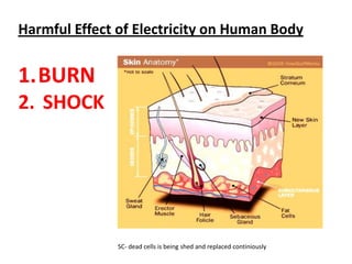 Harmful Effect of Electricity on Human Body


1.BURN
2. SHOCK




               SC- dead cells is being shed and replaced continiously
 