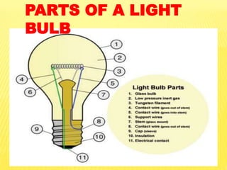 PARTS OF A LIGHT
BULB
 