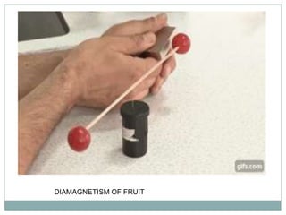 DIAMAGNETISM OF FRUIT
 