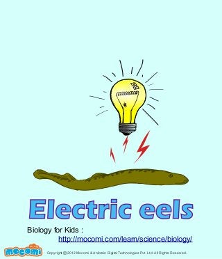 Electric eels

Biology for Kids :
http://mocomi.com/learn/science/biology/
F UN FOR ME!

Copyright © 2012 Mocomi & Anibrain Digital Technologies Pvt. Ltd. All Rights Reserved.

 