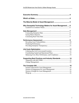 Electric-utility-asset-management_white paper.pdf