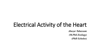 Electrical Activity of the Heart
Abuzar Tabassum
(M.Phil Zoology)
(PhD Scholor)
 