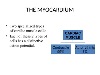 Electrical Activity of Heart presentation .pptx