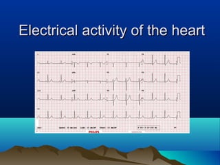Electrical activity of the heartElectrical activity of the heart
 