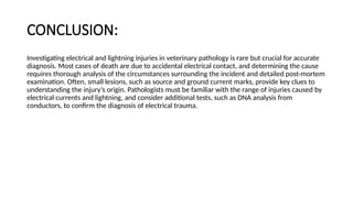 ELECTRICAL_AND_LIGHTNING[1] .6576875876587 | PPTX