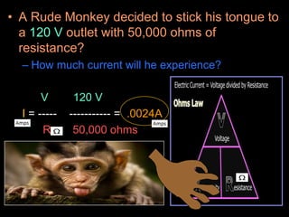 • A Rude Monkey decided to stick his tongue to
a 120 V outlet with 50,000 ohms of
resistance?
– How much current will he experience?
V 120 V
I = ----- ----------- = .0024A
R 50,000 ohms
 