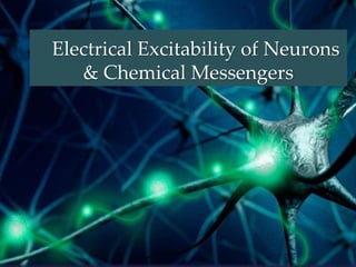 {
Electrical Excitability of Neurons
& Chemical Messengers
 