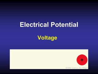 Electrical Potential
Voltage
 