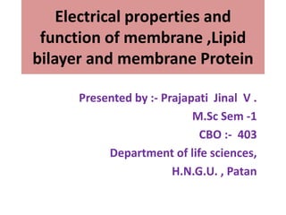 Electrical properties and
function of membrane ,Lipid
bilayer and membrane Protein
Presented by :- Prajapati Jinal V .
M.Sc Sem -1
CBO :- 403
Department of life sciences,
H.N.G.U. , Patan
 