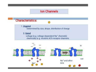 Electrical properties and function of membrane ,lipid bilayer and ...