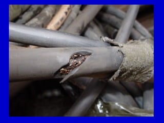 OSHA Office of Training & Education 21
 