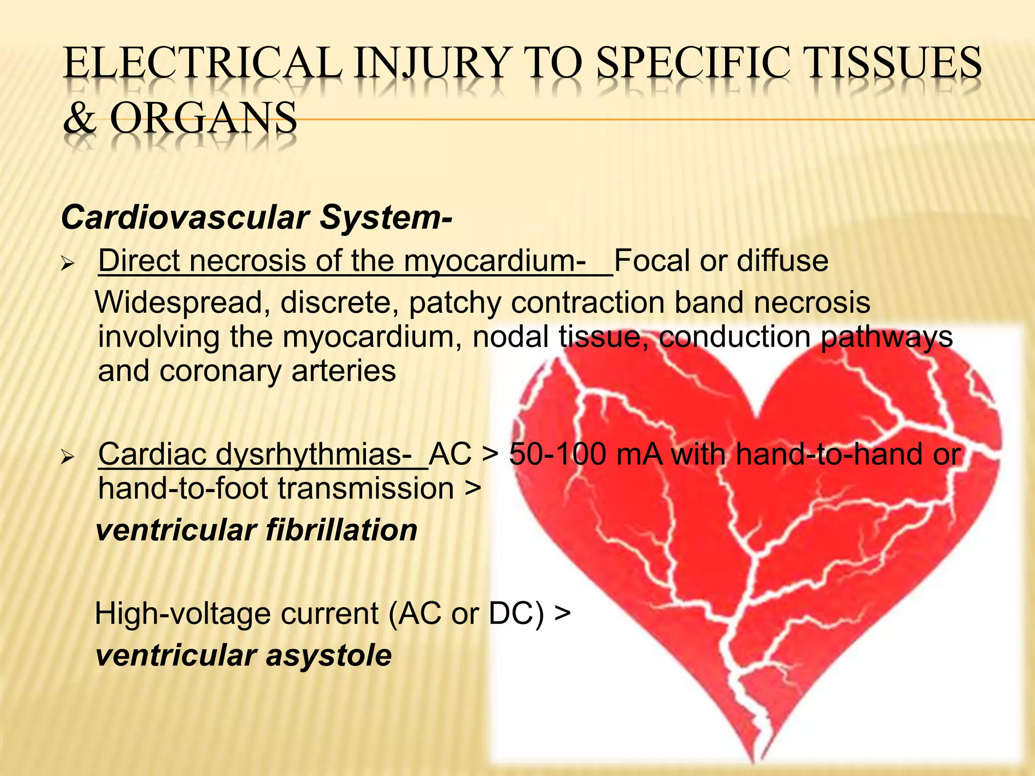 ELECTRICAL INJURY TO SPECIFIC TISSUES
& ORGANS
Cardiovascular System-
 Direct necrosis of the myocardium- Focal or diffuse
Widespread, discrete, patchy contraction band necrosis
involving the myocardium, nodal tissue, conduction pathways
and coronary arteries
 Cardiac dysrhythmias- AC > 50-100 mA with hand-to-hand or
hand-to-foot transmission >
ventricular fibrillation
High-voltage current (AC or DC) >
ventricular asystole
 