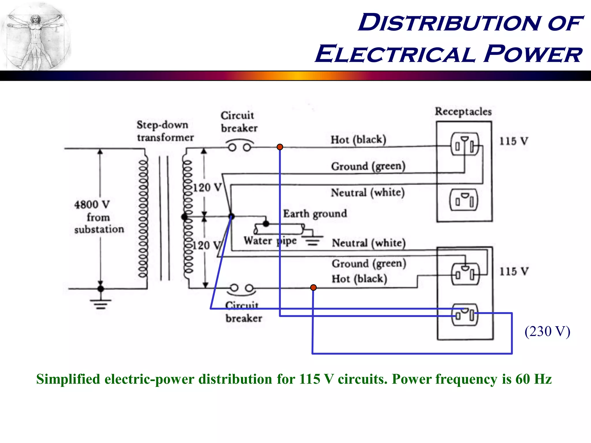 Distribution of
Electrical Power
Simplified electric-power distribution for 115 V circuits. Power frequency is 60 Hz
(230 V)
 