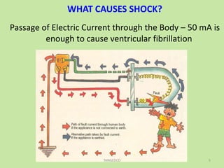 WHAT CAUSES SHOCK?
Passage of Electric Current through the Body – 50 mA is
enough to cause ventricular fibrillation
5TANGEDCO
 
