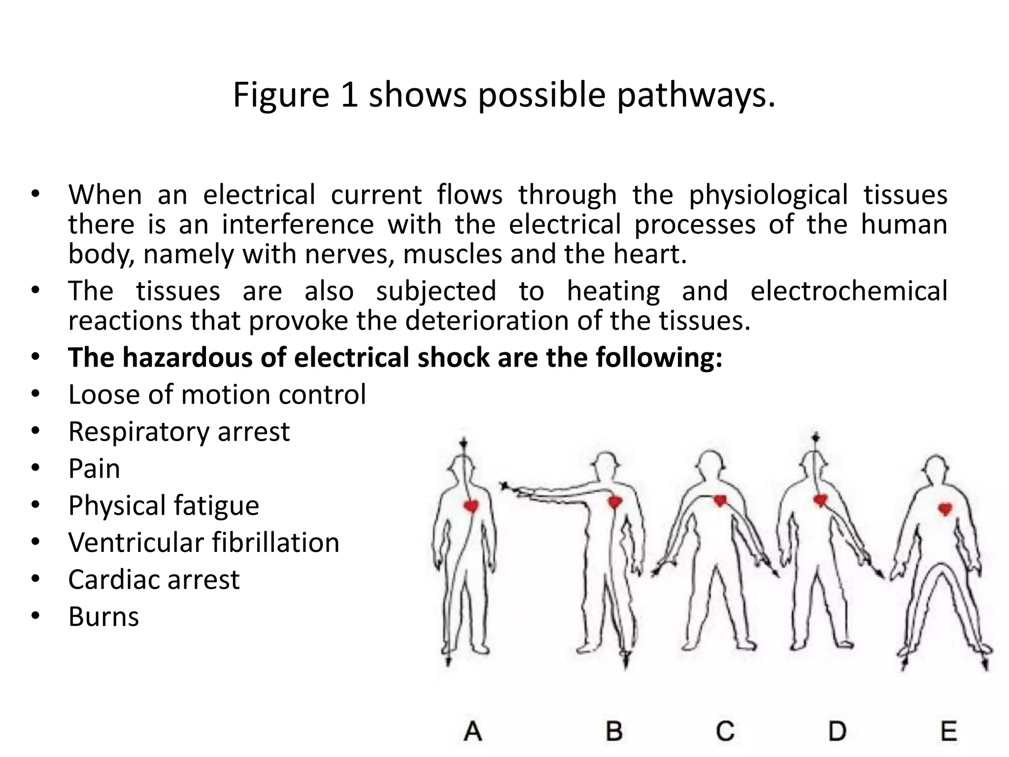 The Shocking Impact Of E120 On Your Health - 7tcc4m7