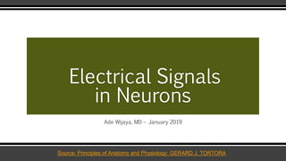 Electrical Signals
in Neurons
Ade Wijaya, MD – January 2019
Source: Principles of Anatomy and Physiology: GERARD J. TORTORA
 