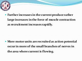 Further increases in the current produce rather
large increases in the force of muscle contraction
as recruitment increases rapidly.
 More motor units are recruited as action potential
occur in more of the small branches of nerves in
the area where current is flowing.
 