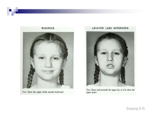 Sreeraj S R
Receiving the patient
Greet the patient & introduce yourself.
Develop a good rapport with the patient.
Provide them a comfortable position to
sit/laydown
 