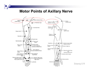 Sreeraj S R
Motor Points of Axillary Nerve
 