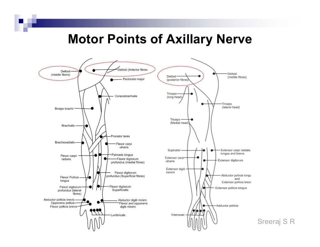 Electrical stimulation motor points and application