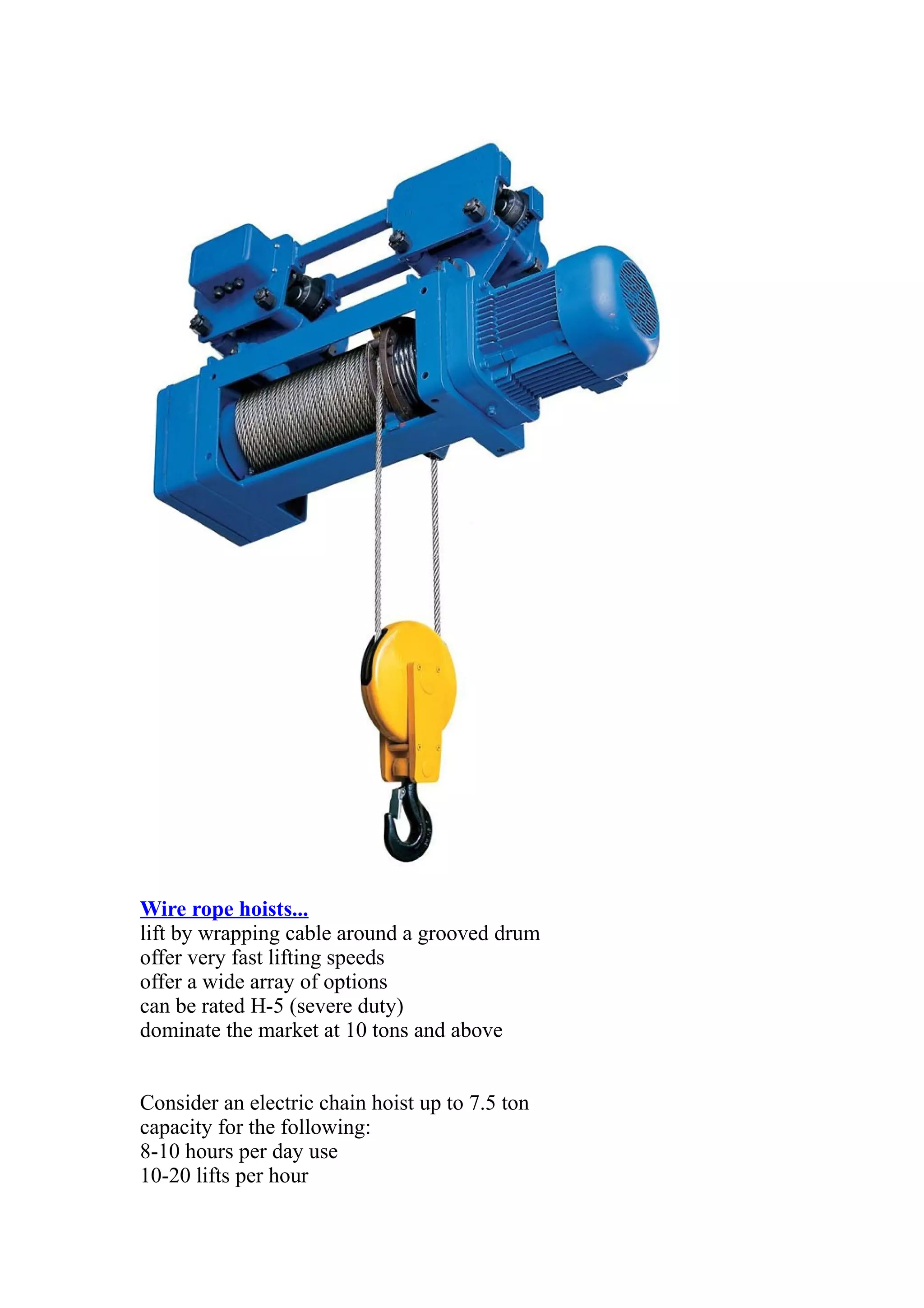 Electric chain or wire rope hoist | DOC
