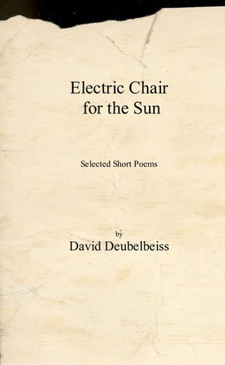 Electric Chair
 for the Sun


 Selected Short Poems




          by
David Deubelbeiss
 