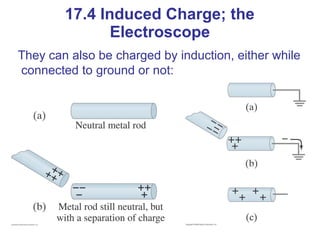 They can also be charged by induction, either while
connected to ground or not:
17.4 Induced Charge; the
Electroscope
 