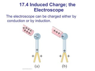 The electroscope can be charged either by
conduction or by induction.
17.4 Induced Charge; the
Electroscope
 