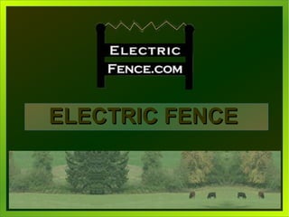ELECTRIC FENCEELECTRIC FENCE
 