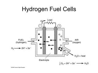 Hydrogen Fuel Cells 