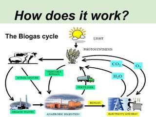 How does it work?
The Biogas cycle