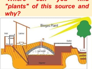 Where can you find
"plants" of this source and
why?
