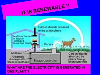 EWABLE ?
IT IS REN
WHAT ARE THE ELECTRICITY IS GENERATED IN
ONE PLANT ?
