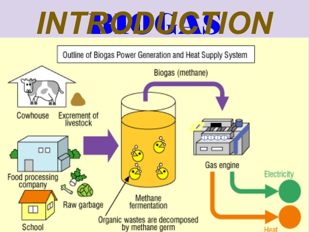 Electricity biogas gas processing plant diagram 