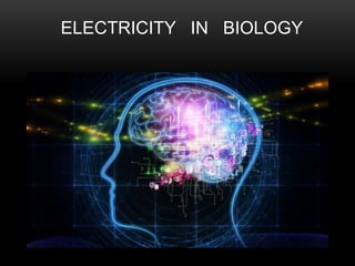 ELECTRICITY IN BIOLOGY
 