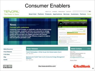 Consumer Enablers




     http://www.tendrilinc.com/
                                  48
 